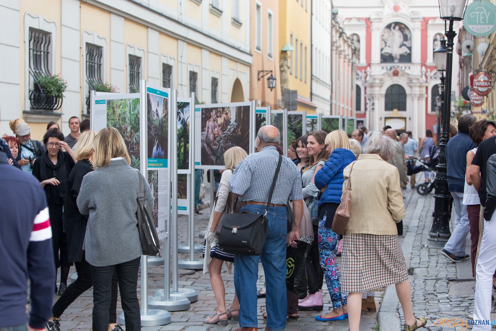 Coolturalny Stary Rynek - Korowajowie. Ludzie Drzew Foto: lepszyPOZNAN.pl / Piotr Rychter Coolturalny Stary Rynek - Korowajowie. Ludzie Drzew Foto: lepszyPOZNAN.pl / Piotr Rychter