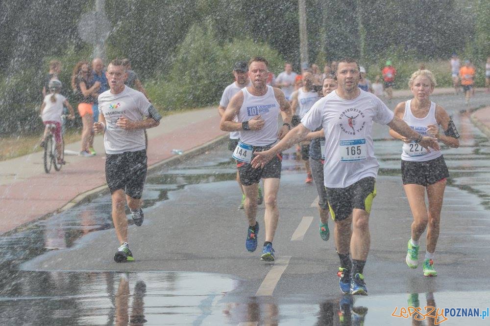 Murowana Dycha (5) Foto: materiały prasowe Murowana Dycha (5) Foto: materiały prasowe