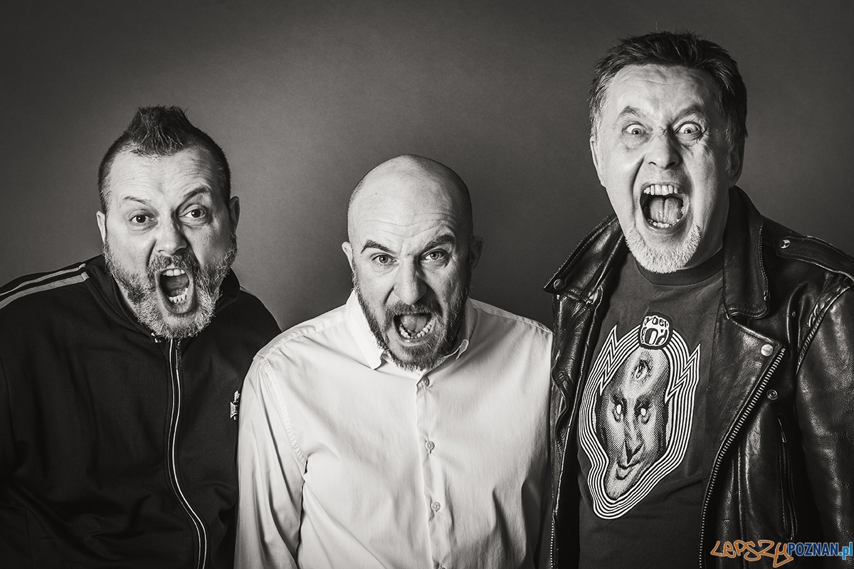 Pidżama Porno  Foto: mat. prasowe