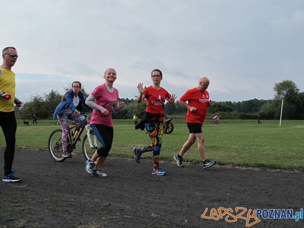 Chartyatywny Bieg w Murowanej Goślinie Foto: Chartyatywny Bieg w Murowanej Goślinie Foto: