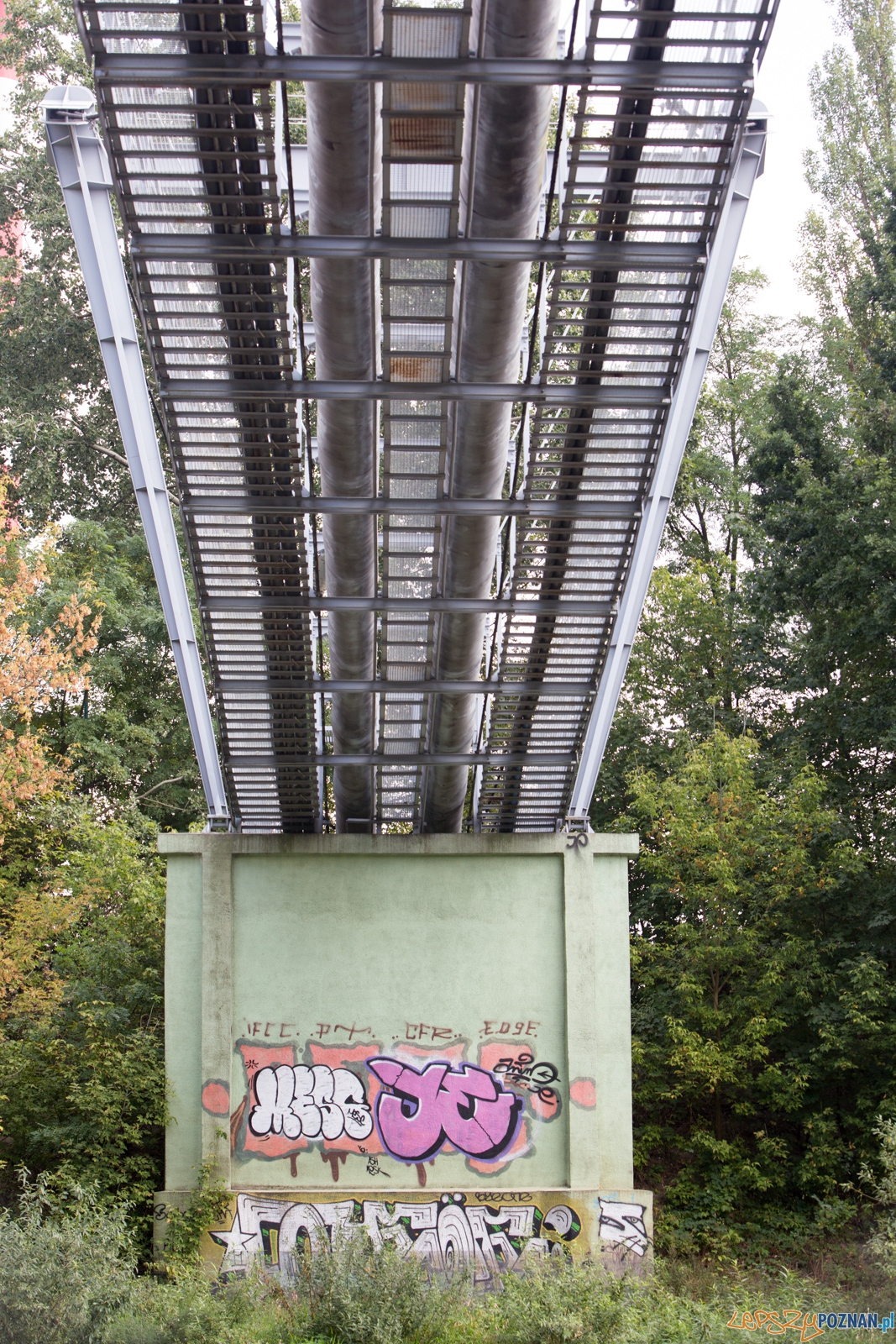 Spływaj śmieciu, tej! Foto: lepszyPOZNAN.pl / Piotr Rychter Spływaj śmieciu, tej! Foto: lepszyPOZNAN.pl / Piotr Rychter