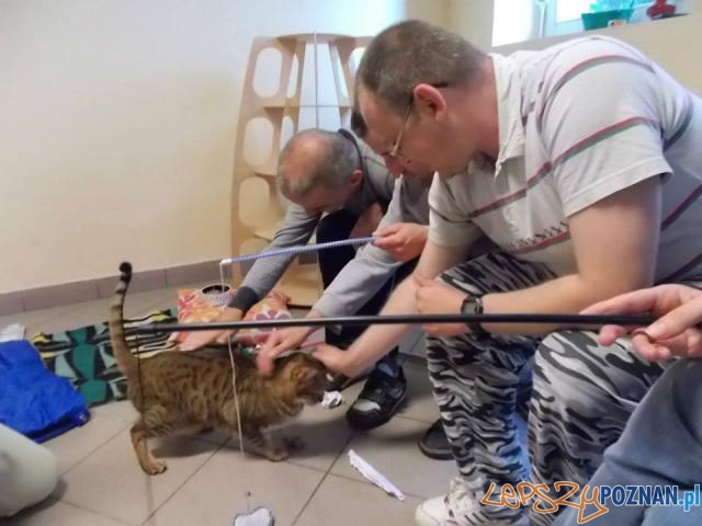 Dom Pana Kota Foto: Dom Pana Kota Foto: