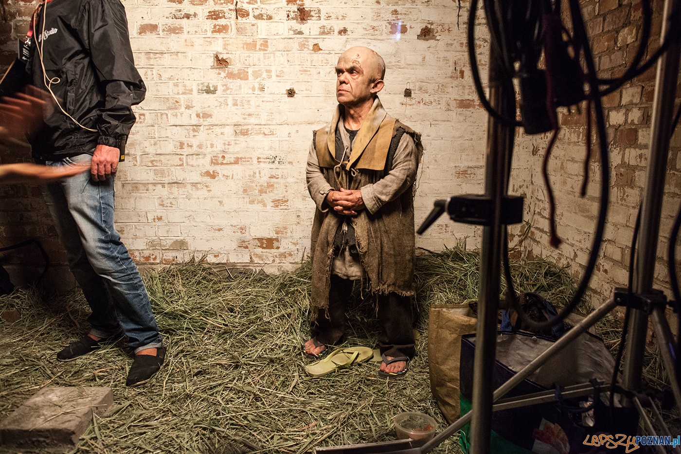 Chronology (17) Foto: Agencja GPD Chronology (17) Foto: Agencja GPD