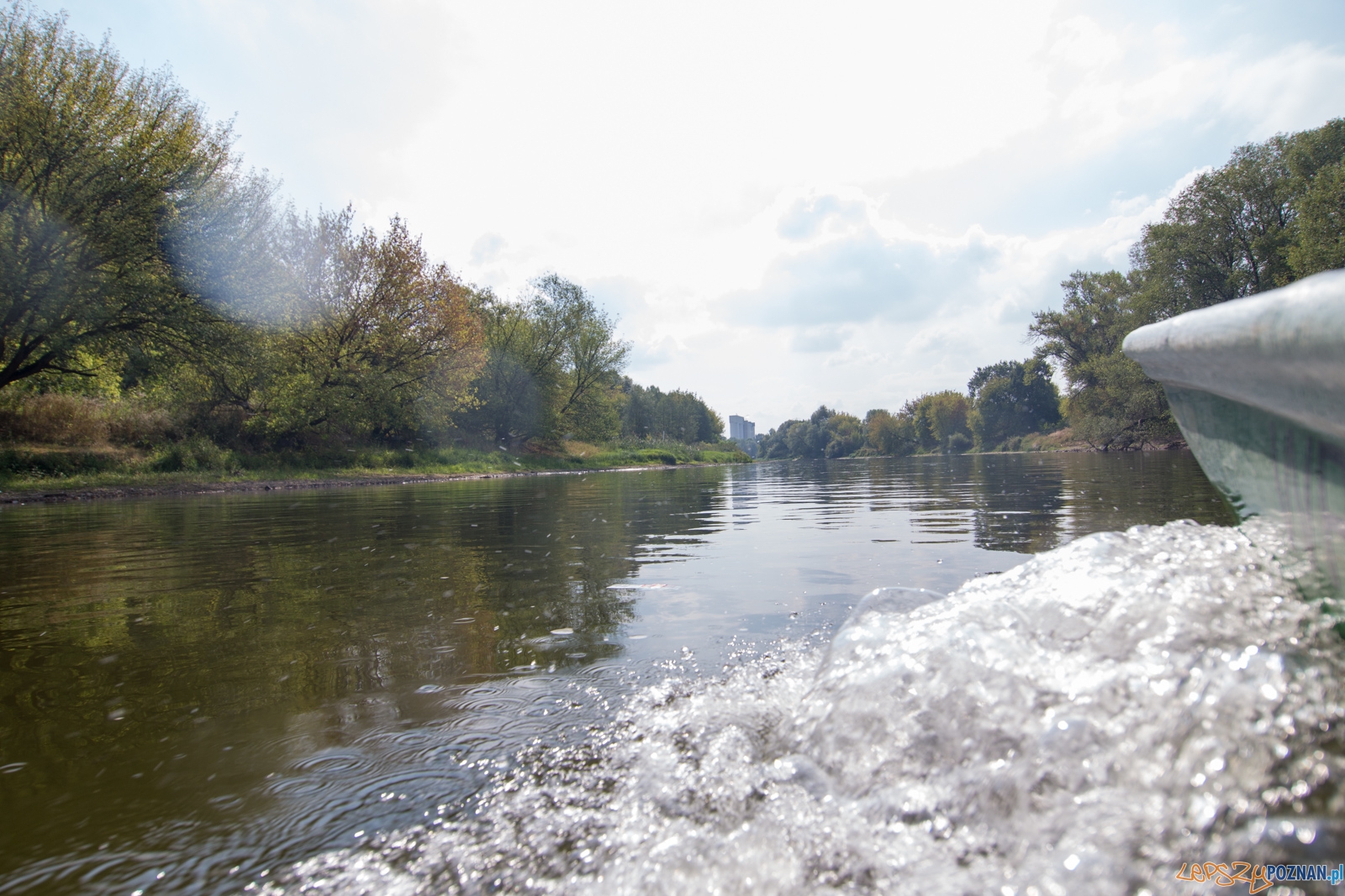 Spływaj śmieciu, tej! Foto: lepszyPOZNAN.pl / Piotr Rychter Spływaj śmieciu, tej! Foto: lepszyPOZNAN.pl / Piotr Rychter