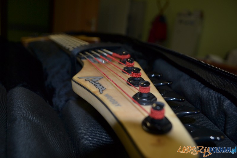 Policja odzyskała skradzione gitary Foto: Policja odzyskała skradzione gitary Foto: