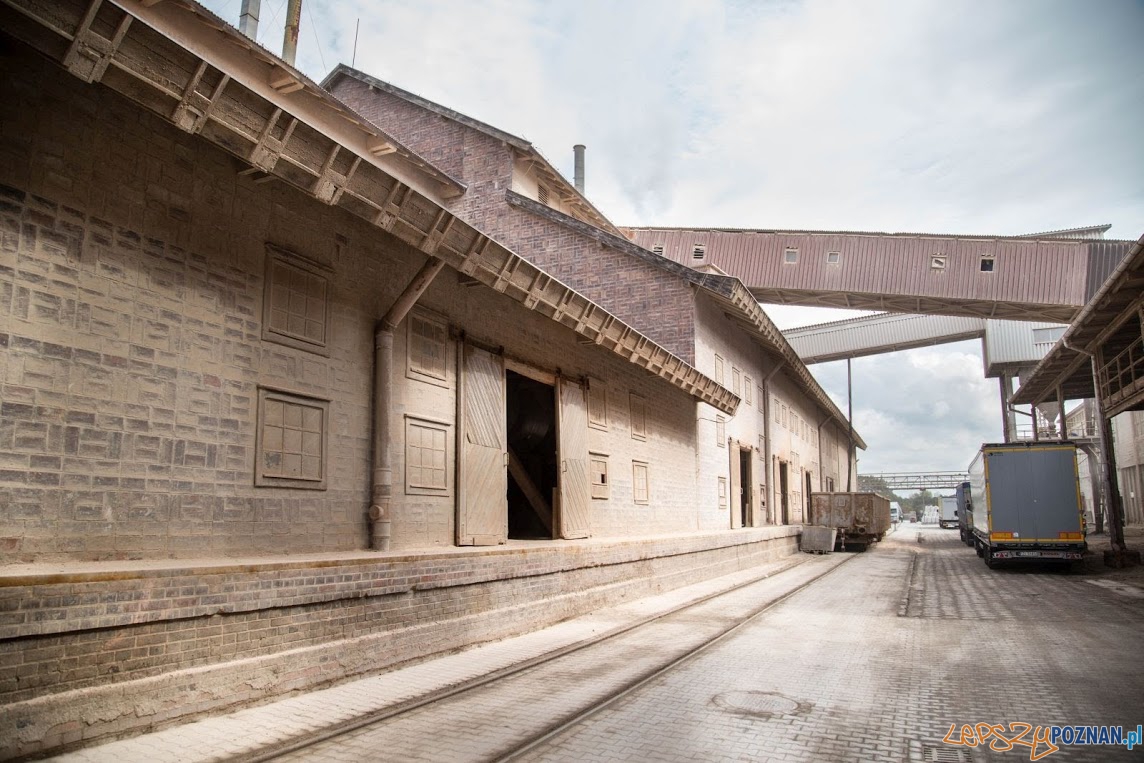 Szlak przemyslowy - Hala Poelziga Foto: Jakub Pindych Szlak przemyslowy - Hala Poelziga Foto: Jakub Pindych