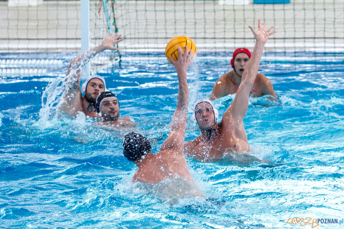 Finał Pucharu Polski Waterpoli - Poznań 11.10.2015 r. Foto: LepszyPOZNAN.pl / Paweł Rychter Finał Pucharu Polski Waterpoli - Poznań 11.10.2015 r. Foto: LepszyPOZNAN.pl / Paweł Rychter