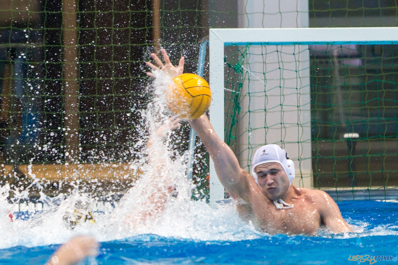 1. kolejka rozgrywek Ekstraklasy w piłce wodnej mężczyzn Foto: lepszyPOZNAN.pl / Piotr Rychter 1. kolejka rozgrywek Ekstraklasy w piłce wodnej mężczyzn Foto: lepszyPOZNAN.pl / Piotr Rychter