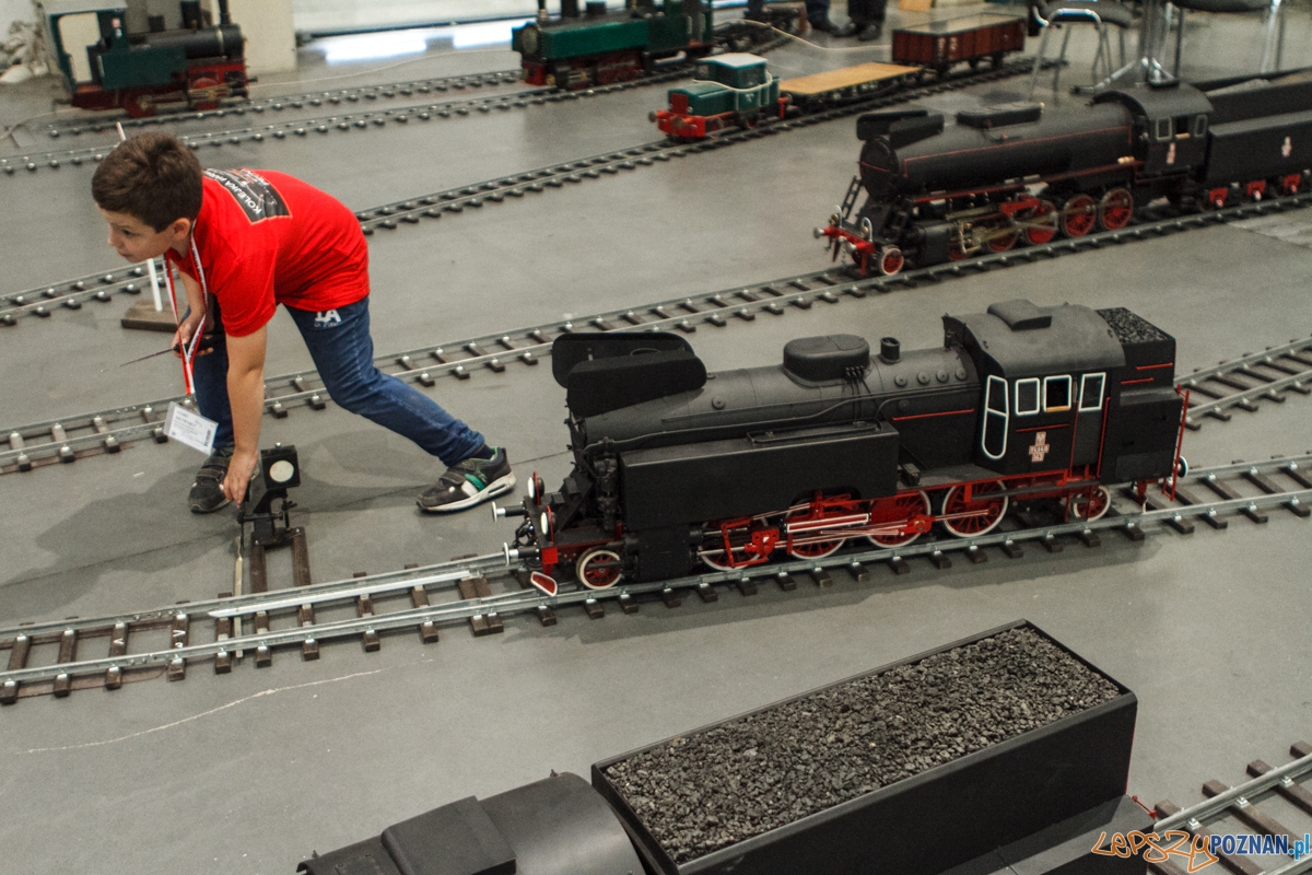 Targi Hobby 2015 Foto: LepszyPOZNAN.pl / Paweł Rychter Targi Hobby 2015 Foto: LepszyPOZNAN.pl / Paweł Rychter