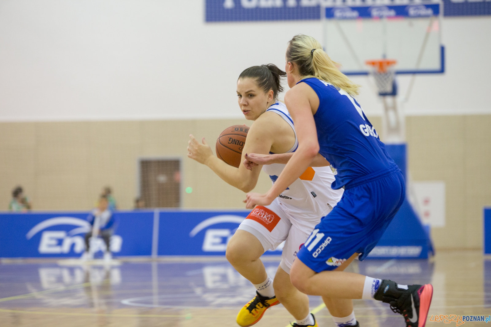 1 liga Kobiet Enea AZS Poznań - AZS PWSZ II Gorzów Foto: lepszyPOZNAN.pl / Piotr Rychter 1 liga Kobiet Enea AZS Poznań - AZS PWSZ II Gorzów Foto: lepszyPOZNAN.pl / Piotr Rychter