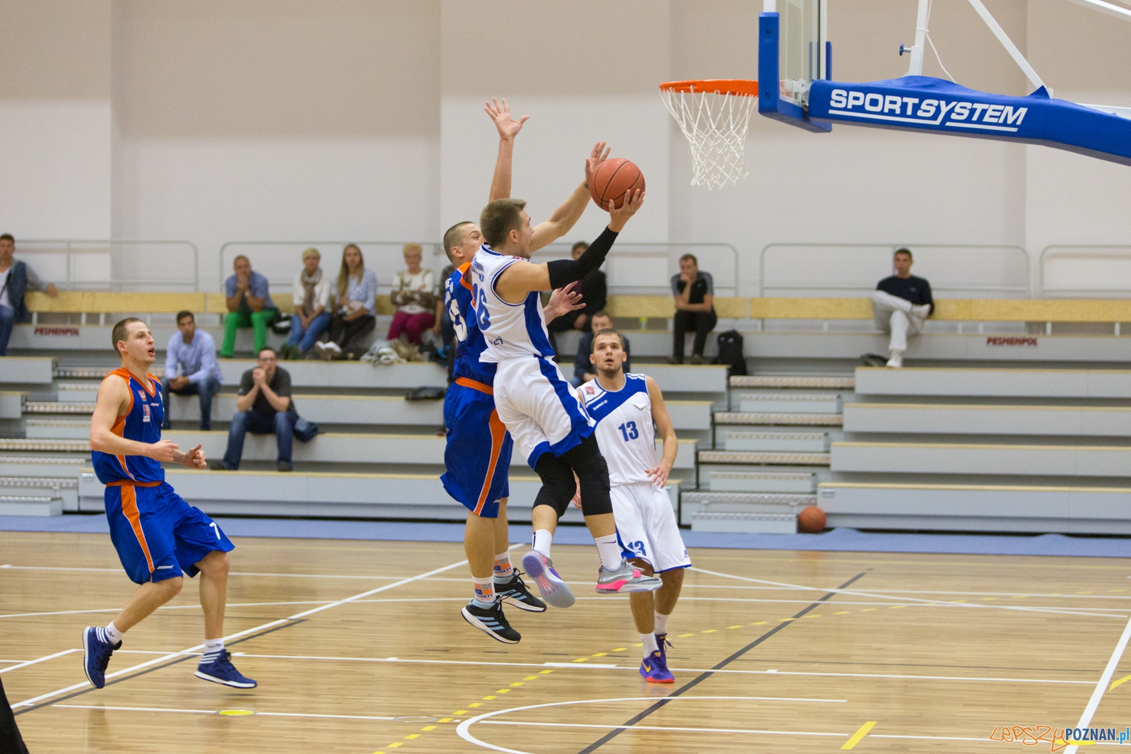 AZS Politechnika Poznań - KS Sudety Jelenia Góra Foto: lepszyPOZNAN.pl / Piotr Rychter AZS Politechnika Poznań - KS Sudety Jelenia Góra Foto: lepszyPOZNAN.pl / Piotr Rychter