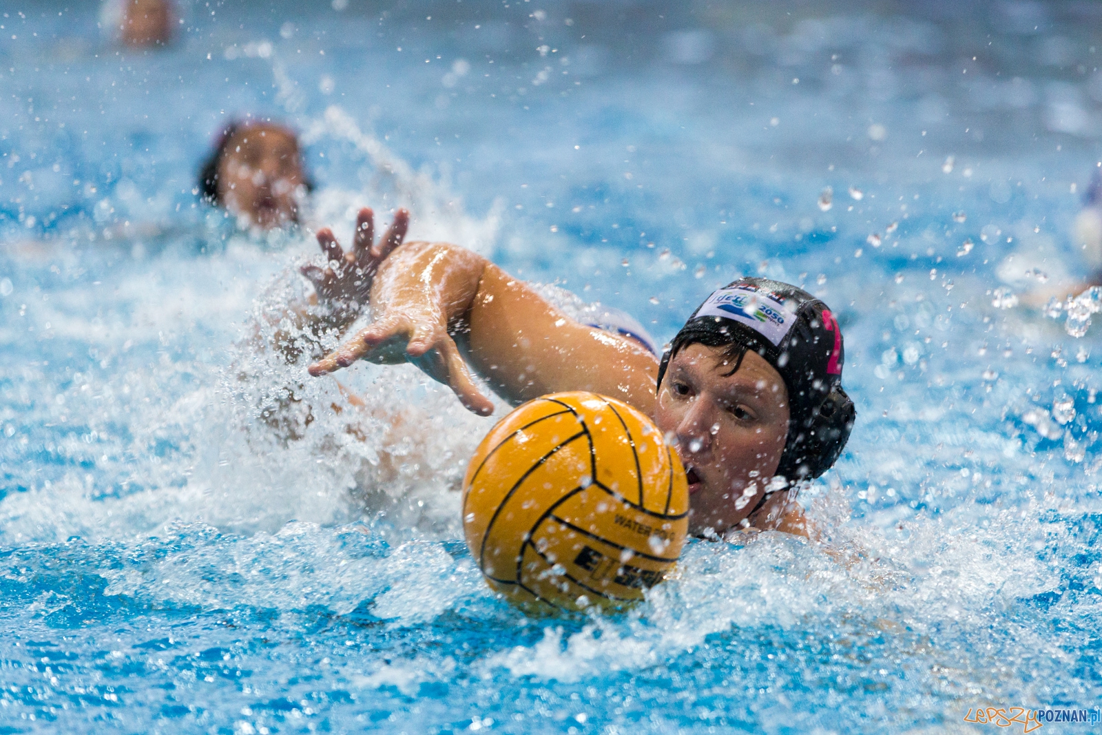 Puchar Polski w piłce wodnej mężczyzn 2015 (GKPW 59 Gorzów - Foto: lepszyPOZNAN.pl / Piotr Rychter Puchar Polski w piłce wodnej mężczyzn 2015 (GKPW 59 Gorzów - Foto: lepszyPOZNAN.pl / Piotr Rychter