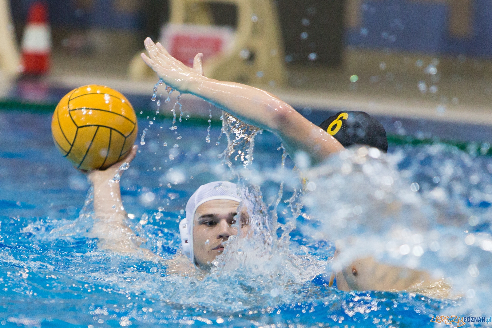 1. kolejka rozgrywek Ekstraklasy w piłce wodnej mężczyzn Foto: lepszyPOZNAN.pl / Piotr Rychter 1. kolejka rozgrywek Ekstraklasy w piłce wodnej mężczyzn Foto: lepszyPOZNAN.pl / Piotr Rychter