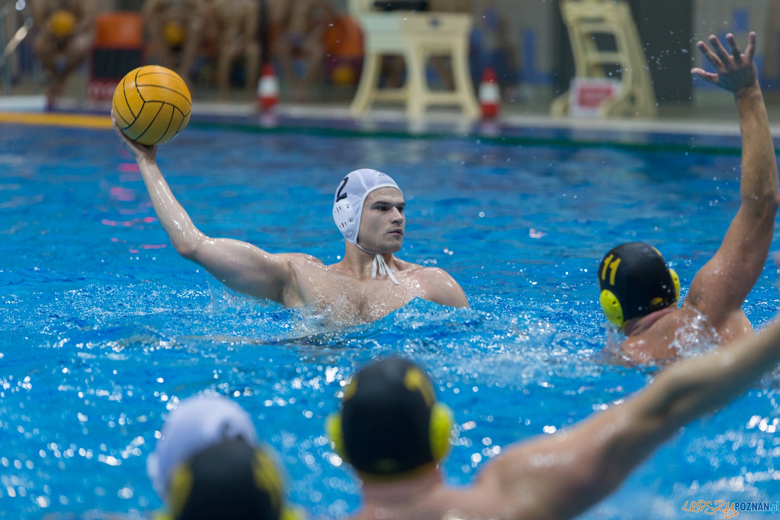 1. kolejka rozgrywek Ekstraklasy w piłce wodnej mężczyzn Foto: lepszyPOZNAN.pl / Piotr Rychter 1. kolejka rozgrywek Ekstraklasy w piłce wodnej mężczyzn Foto: lepszyPOZNAN.pl / Piotr Rychter