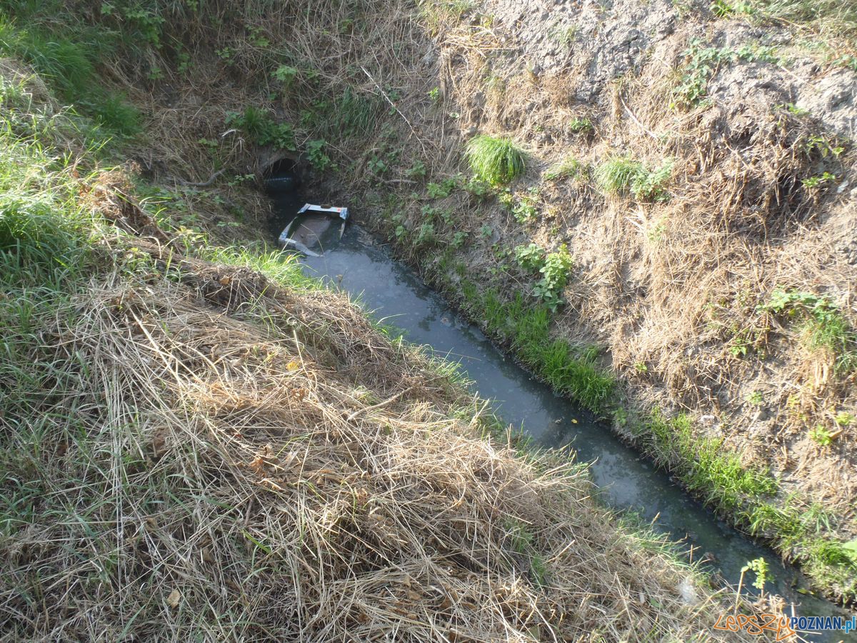 Hygrozagadka na Piatkowe Foto: SM Hygrozagadka na Piatkowe Foto: SM