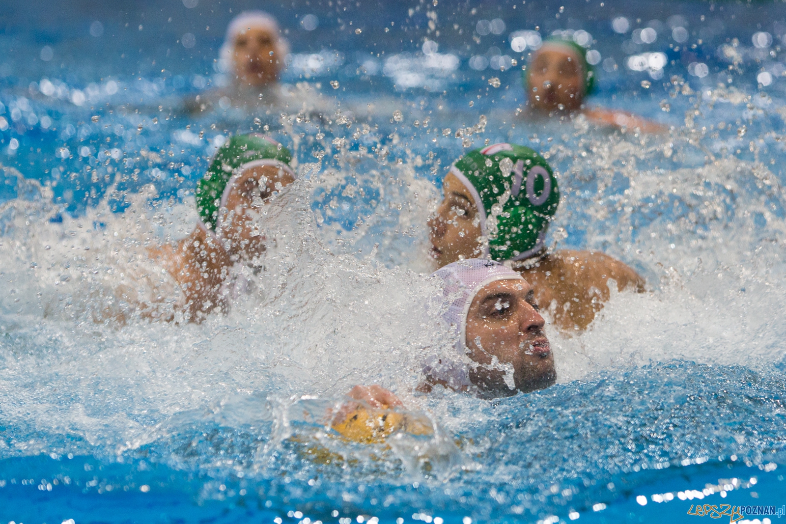 Puchar Polski w piłce wodnej mężczyzn 2015 - Waterpolo Pozna Foto: lepszyPOZNAN.pl / Piotr Rychter Puchar Polski w piłce wodnej mężczyzn 2015 - Waterpolo Pozna Foto: lepszyPOZNAN.pl / Piotr Rychter