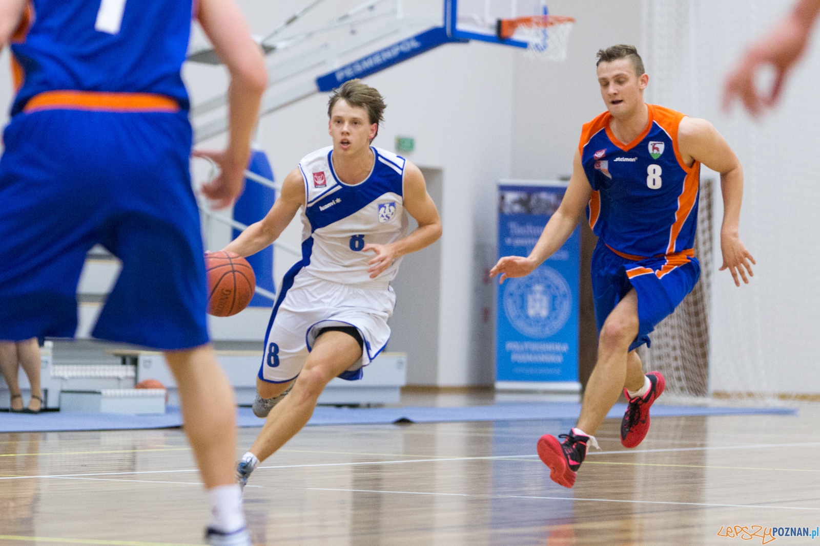 AZS Politechnika Poznań - KS Sudety Jelenia Góra Foto: lepszyPOZNAN.pl / Piotr Rychter AZS Politechnika Poznań - KS Sudety Jelenia Góra Foto: lepszyPOZNAN.pl / Piotr Rychter