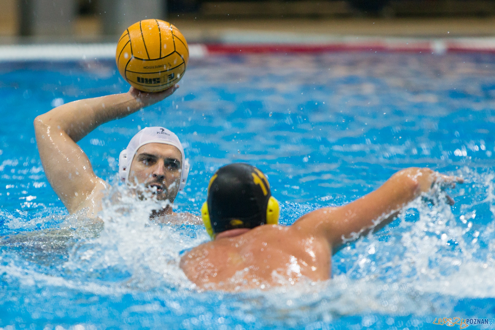1. kolejka rozgrywek Ekstraklasy w piłce wodnej mężczyzn Foto: lepszyPOZNAN.pl / Piotr Rychter 1. kolejka rozgrywek Ekstraklasy w piłce wodnej mężczyzn Foto: lepszyPOZNAN.pl / Piotr Rychter