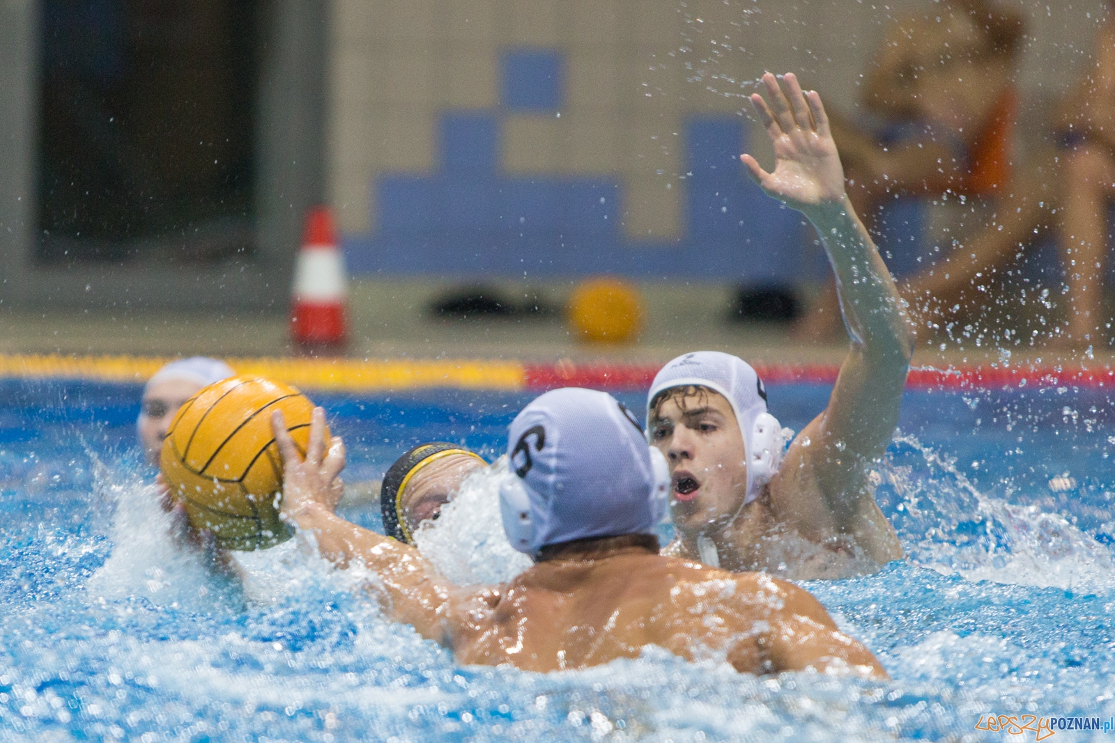 1. kolejka rozgrywek Ekstraklasy w piłce wodnej mężczyzn Foto: lepszyPOZNAN.pl / Piotr Rychter 1. kolejka rozgrywek Ekstraklasy w piłce wodnej mężczyzn Foto: lepszyPOZNAN.pl / Piotr Rychter