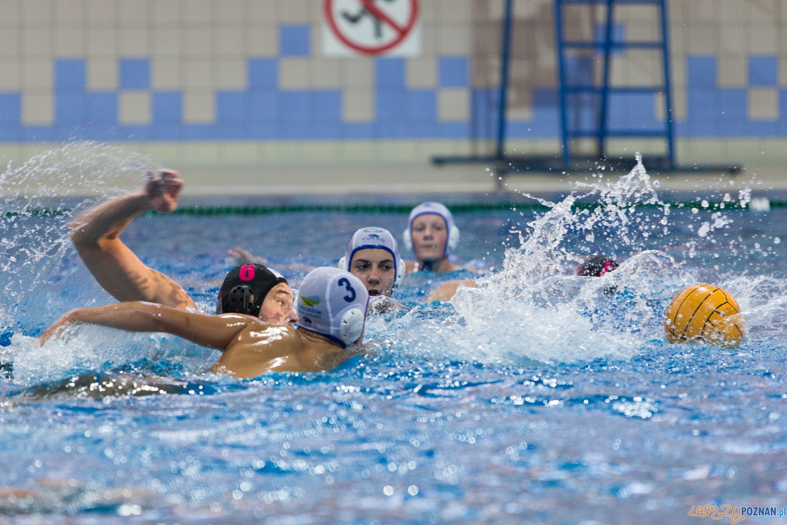 Puchar Polski w piłce wodnej mężczyzn 2015 (GKPW 59 Gorzów - Foto: lepszyPOZNAN.pl / Piotr Rychter Puchar Polski w piłce wodnej mężczyzn 2015 (GKPW 59 Gorzów - Foto: lepszyPOZNAN.pl / Piotr Rychter