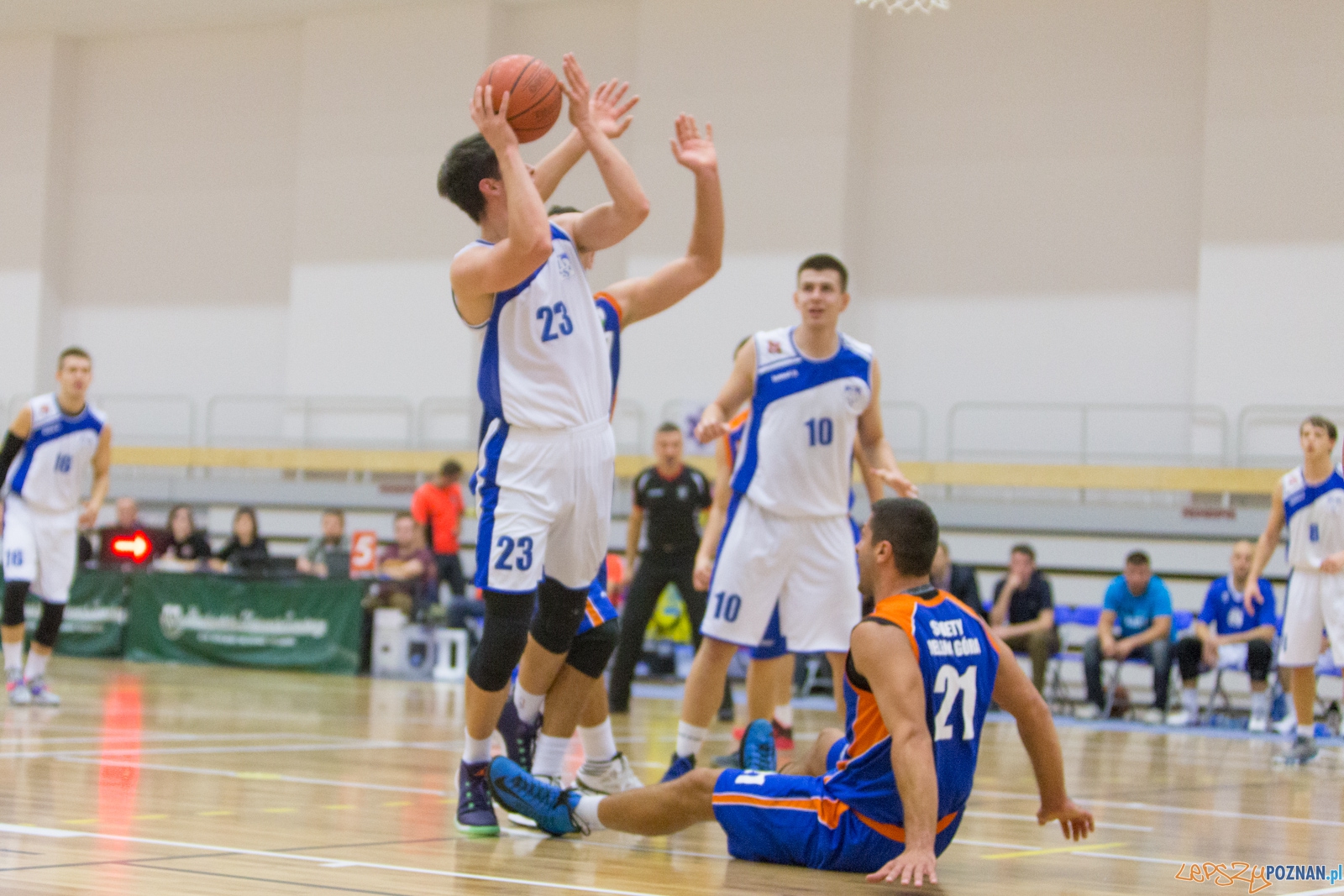 AZS Politechnika Poznań - KS Sudety Jelenia Góra Foto: lepszyPOZNAN.pl / Piotr Rychter AZS Politechnika Poznań - KS Sudety Jelenia Góra Foto: lepszyPOZNAN.pl / Piotr Rychter