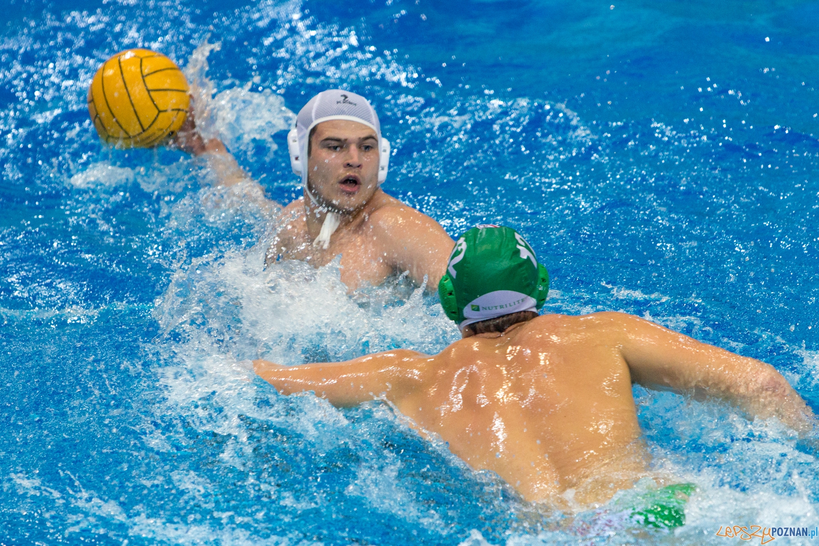Puchar Polski w piłce wodnej mężczyzn 2015 - Waterpolo Pozna Foto: lepszyPOZNAN.pl / Piotr Rychter Puchar Polski w piłce wodnej mężczyzn 2015 - Waterpolo Pozna Foto: lepszyPOZNAN.pl / Piotr Rychter
