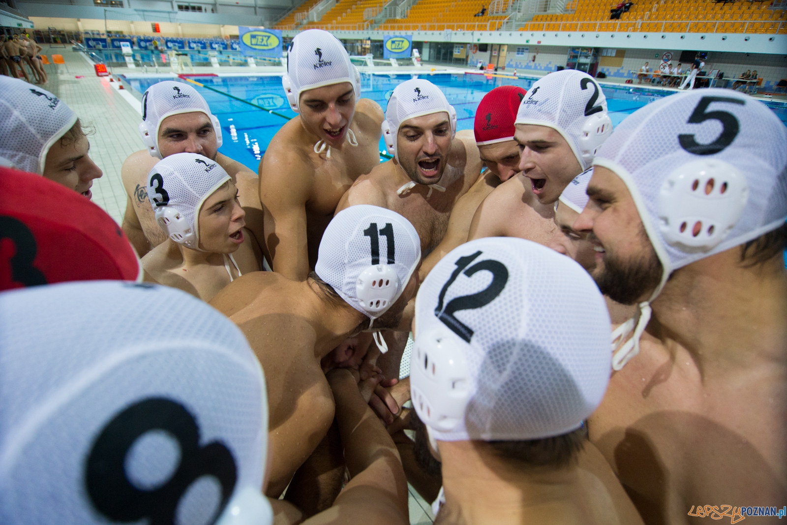1. kolejka rozgrywek Ekstraklasy w piłce wodnej mężczyzn Foto: lepszyPOZNAN.pl / Piotr Rychter 1. kolejka rozgrywek Ekstraklasy w piłce wodnej mężczyzn Foto: lepszyPOZNAN.pl / Piotr Rychter