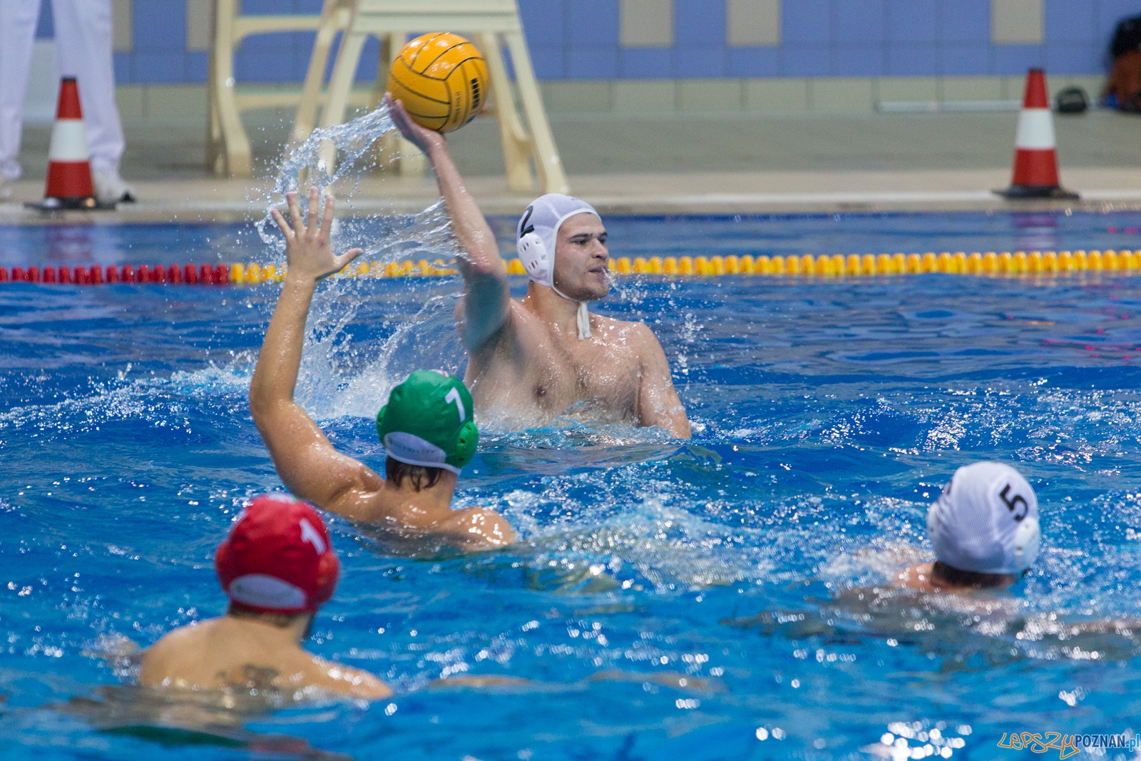Puchar Polski w piłce wodnej mężczyzn 2015 - Waterpolo Pozna Foto: lepszyPOZNAN.pl / Piotr Rychter Puchar Polski w piłce wodnej mężczyzn 2015 - Waterpolo Pozna Foto: lepszyPOZNAN.pl / Piotr Rychter