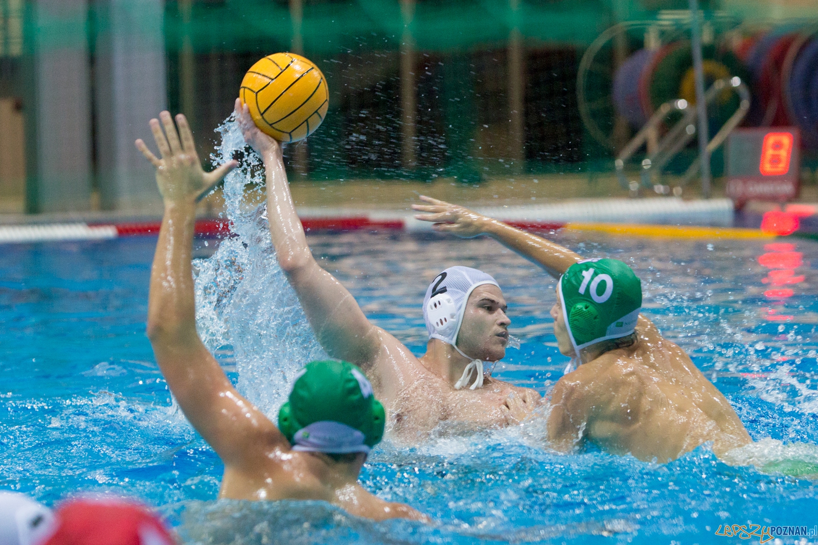 Puchar Polski w piłce wodnej mężczyzn 2015 - Waterpolo Pozna Foto: lepszyPOZNAN.pl / Piotr Rychter Puchar Polski w piłce wodnej mężczyzn 2015 - Waterpolo Pozna Foto: lepszyPOZNAN.pl / Piotr Rychter