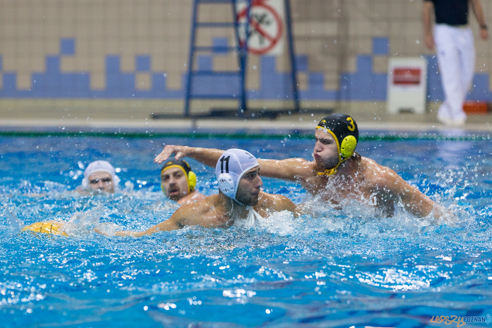 1. kolejka rozgrywek Ekstraklasy w piłce wodnej mężczyzn Foto: lepszyPOZNAN.pl / Piotr Rychter 1. kolejka rozgrywek Ekstraklasy w piłce wodnej mężczyzn Foto: lepszyPOZNAN.pl / Piotr Rychter