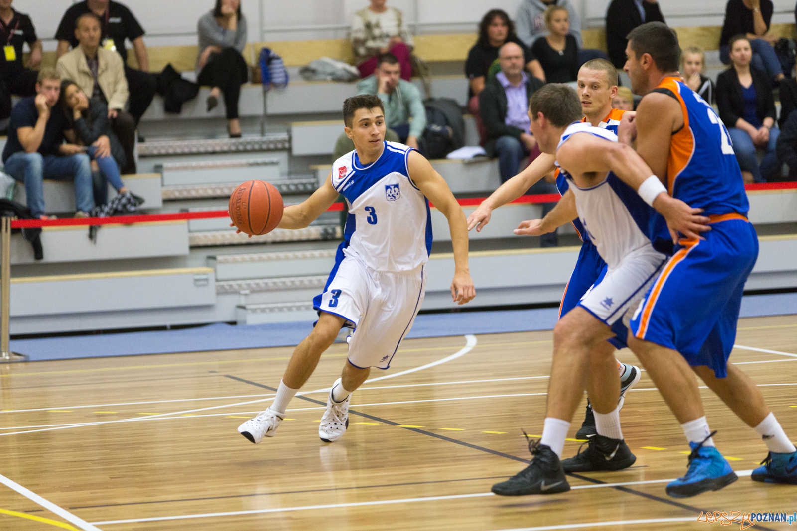 AZS Politechnika Poznań - KS Sudety Jelenia Góra Foto: lepszyPOZNAN.pl / Piotr Rychter AZS Politechnika Poznań - KS Sudety Jelenia Góra Foto: lepszyPOZNAN.pl / Piotr Rychter