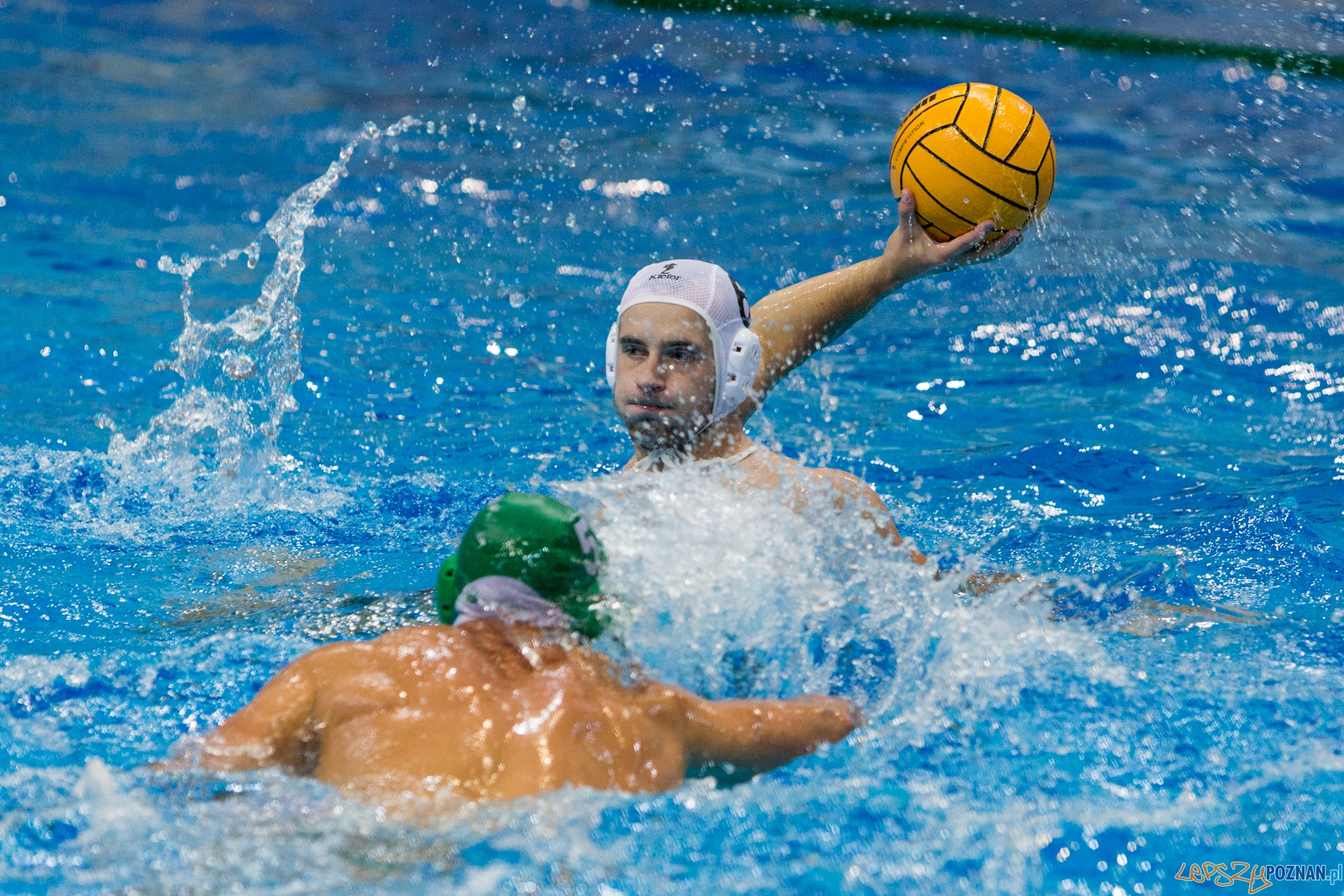 Puchar Polski w piłce wodnej mężczyzn 2015 - Waterpolo Pozna Foto: lepszyPOZNAN.pl / Piotr Rychter Puchar Polski w piłce wodnej mężczyzn 2015 - Waterpolo Pozna Foto: lepszyPOZNAN.pl / Piotr Rychter