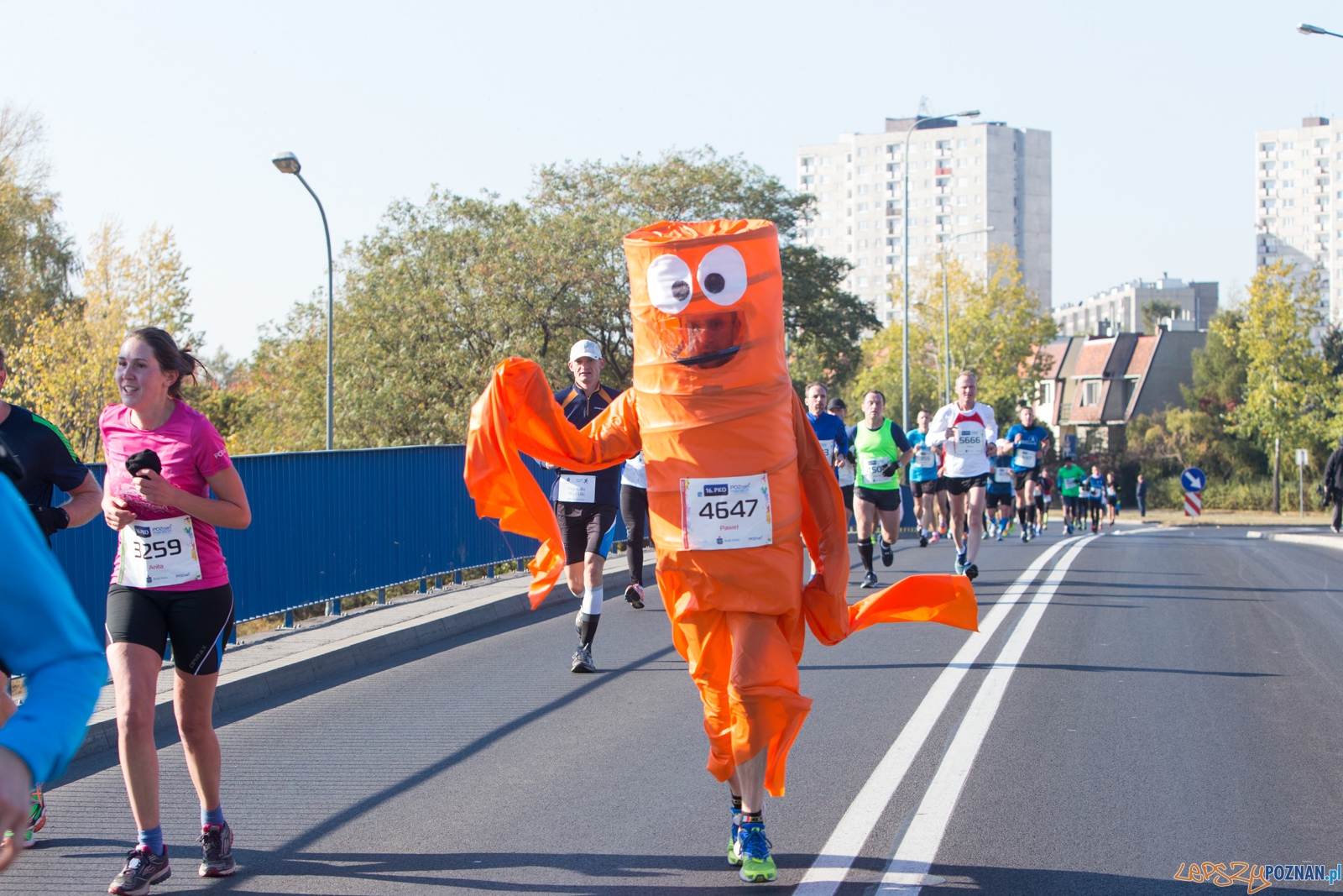 16. Poznań Maraton Foto: lepszyPOZNAN.pl / Piotr Rychter 16. Poznań Maraton Foto: lepszyPOZNAN.pl / Piotr Rychter