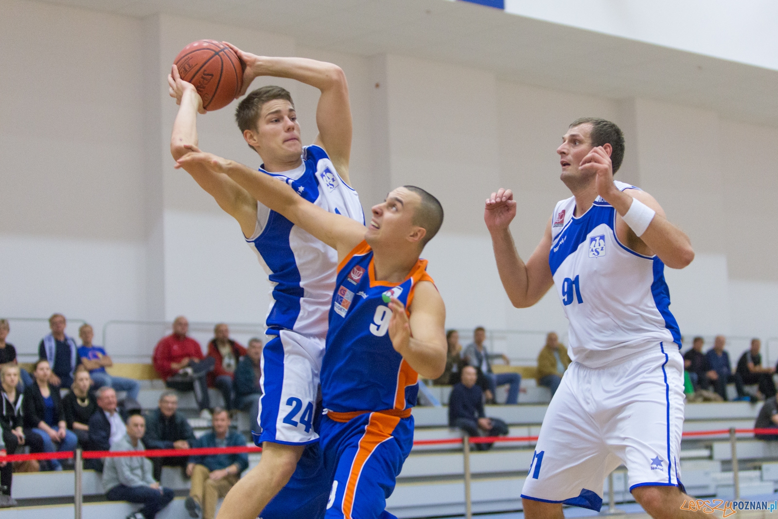 AZS Politechnika Poznań - KS Sudety Jelenia Góra Foto: lepszyPOZNAN.pl / Piotr Rychter AZS Politechnika Poznań - KS Sudety Jelenia Góra Foto: lepszyPOZNAN.pl / Piotr Rychter