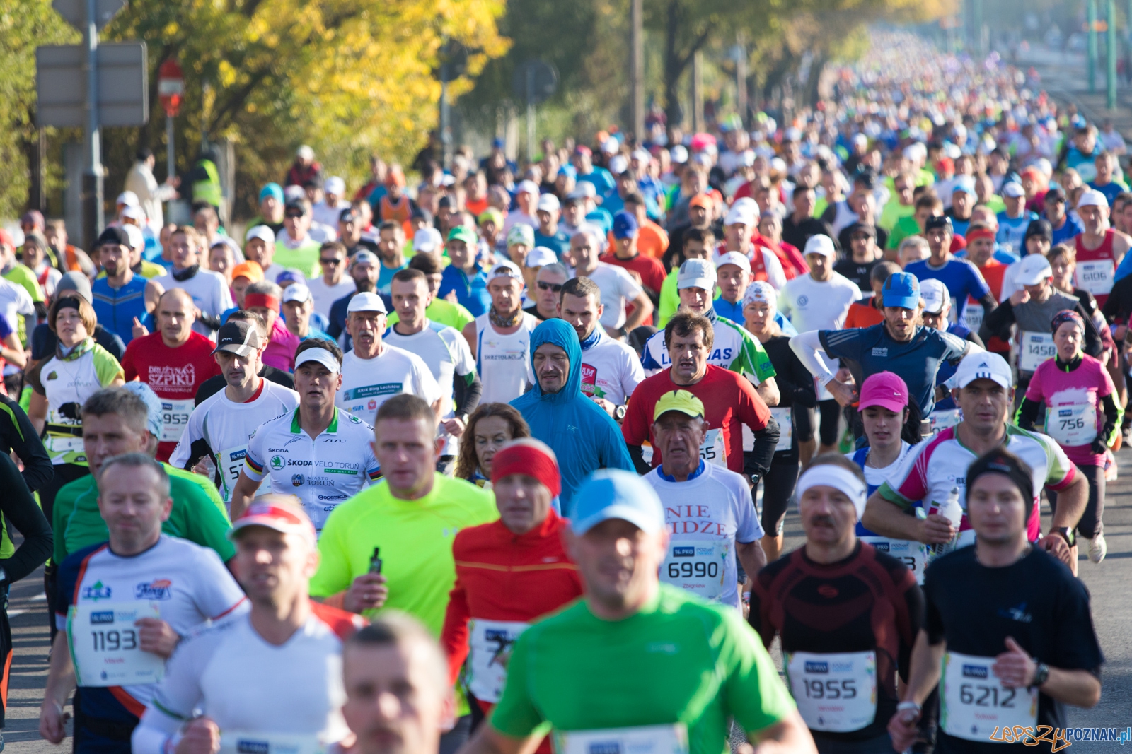 16. Poznań Maraton Foto: lepszyPOZNAN.pl / Piotr Rychter 16. Poznań Maraton Foto: lepszyPOZNAN.pl / Piotr Rychter