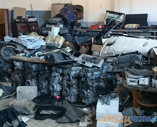 Jeszcze jedna dziupla zlikwidowana Foto: KWP w Poznaniu Jeszcze jedna dziupla zlikwidowana Foto: KWP w Poznaniu