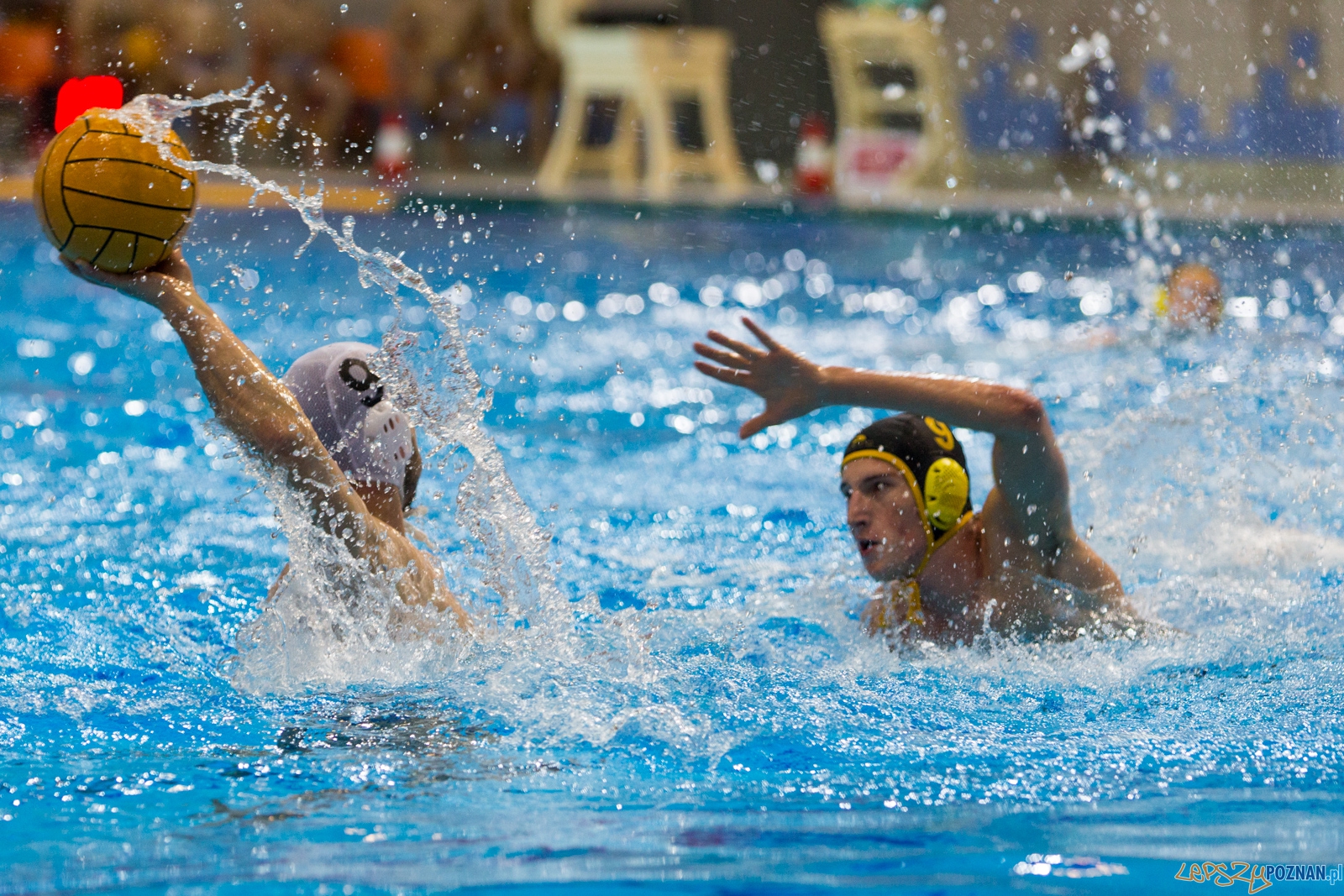 1. kolejka rozgrywek Ekstraklasy w piłce wodnej mężczyzn Foto: lepszyPOZNAN.pl / Piotr Rychter 1. kolejka rozgrywek Ekstraklasy w piłce wodnej mężczyzn Foto: lepszyPOZNAN.pl / Piotr Rychter