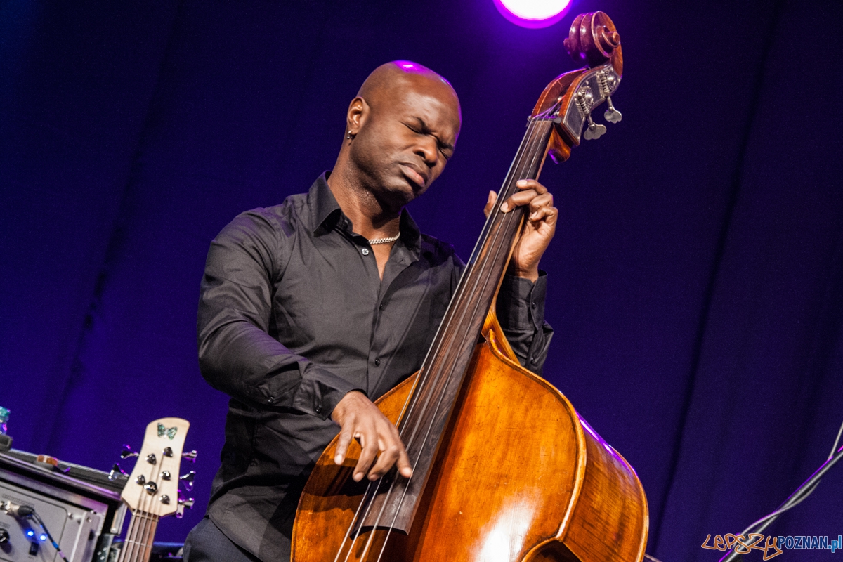 Chris Botti (26.10.2015) Sala Ziemi Foto: © lepszyPOZNAN.pl / Karolina Kiraga Chris Botti (26.10.2015) Sala Ziemi Foto: © lepszyPOZNAN.pl / Karolina Kiraga