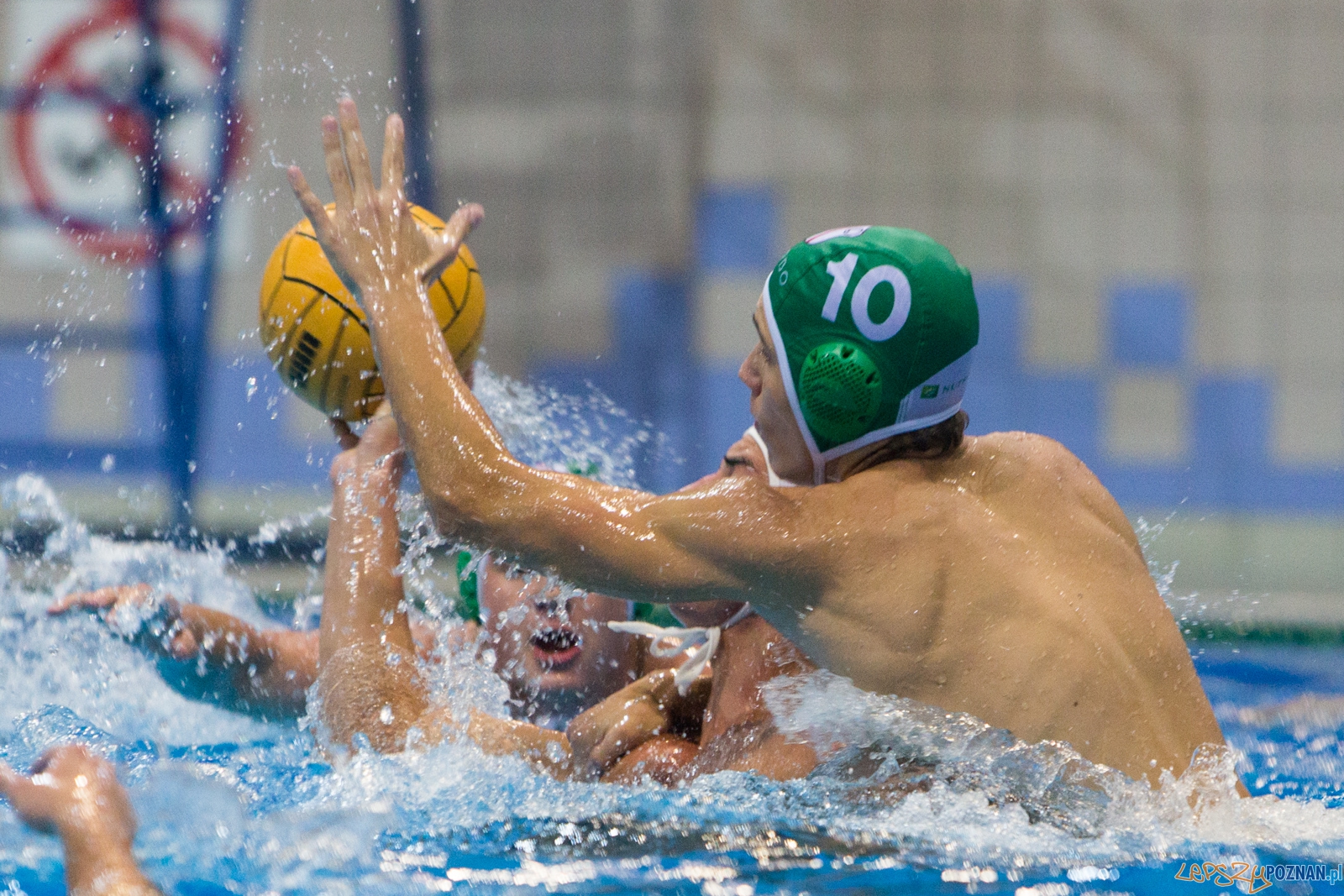Puchar Polski w piłce wodnej mężczyzn 2015 - Waterpolo Pozna Foto: lepszyPOZNAN.pl / Piotr Rychter Puchar Polski w piłce wodnej mężczyzn 2015 - Waterpolo Pozna Foto: lepszyPOZNAN.pl / Piotr Rychter