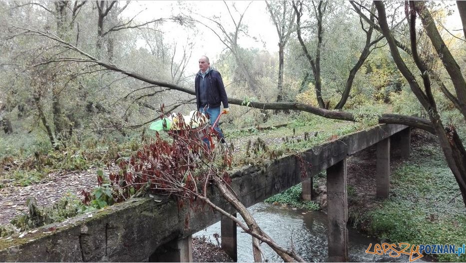 Sprzątanie Głównej(1) Foto: materiały prasowe Sprzątanie Głównej(1) Foto: materiały prasowe