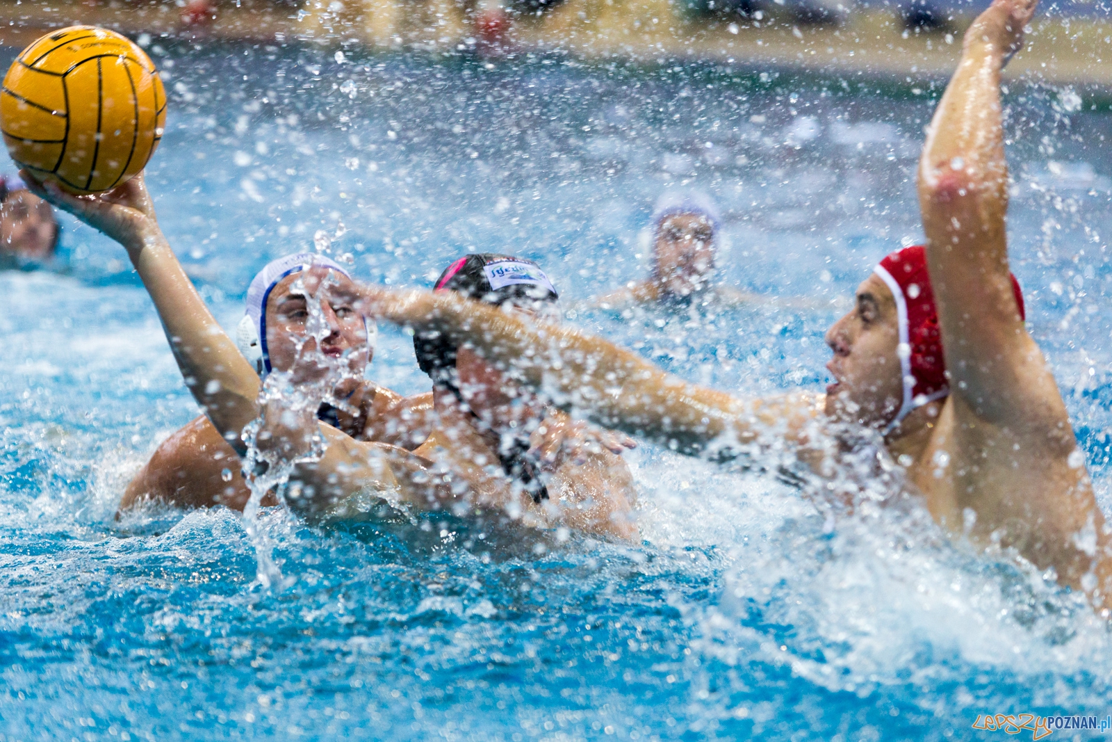 Puchar Polski w piłce wodnej mężczyzn 2015 (GKPW 59 Gorzów - Foto: lepszyPOZNAN.pl / Piotr Rychter Puchar Polski w piłce wodnej mężczyzn 2015 (GKPW 59 Gorzów - Foto: lepszyPOZNAN.pl / Piotr Rychter