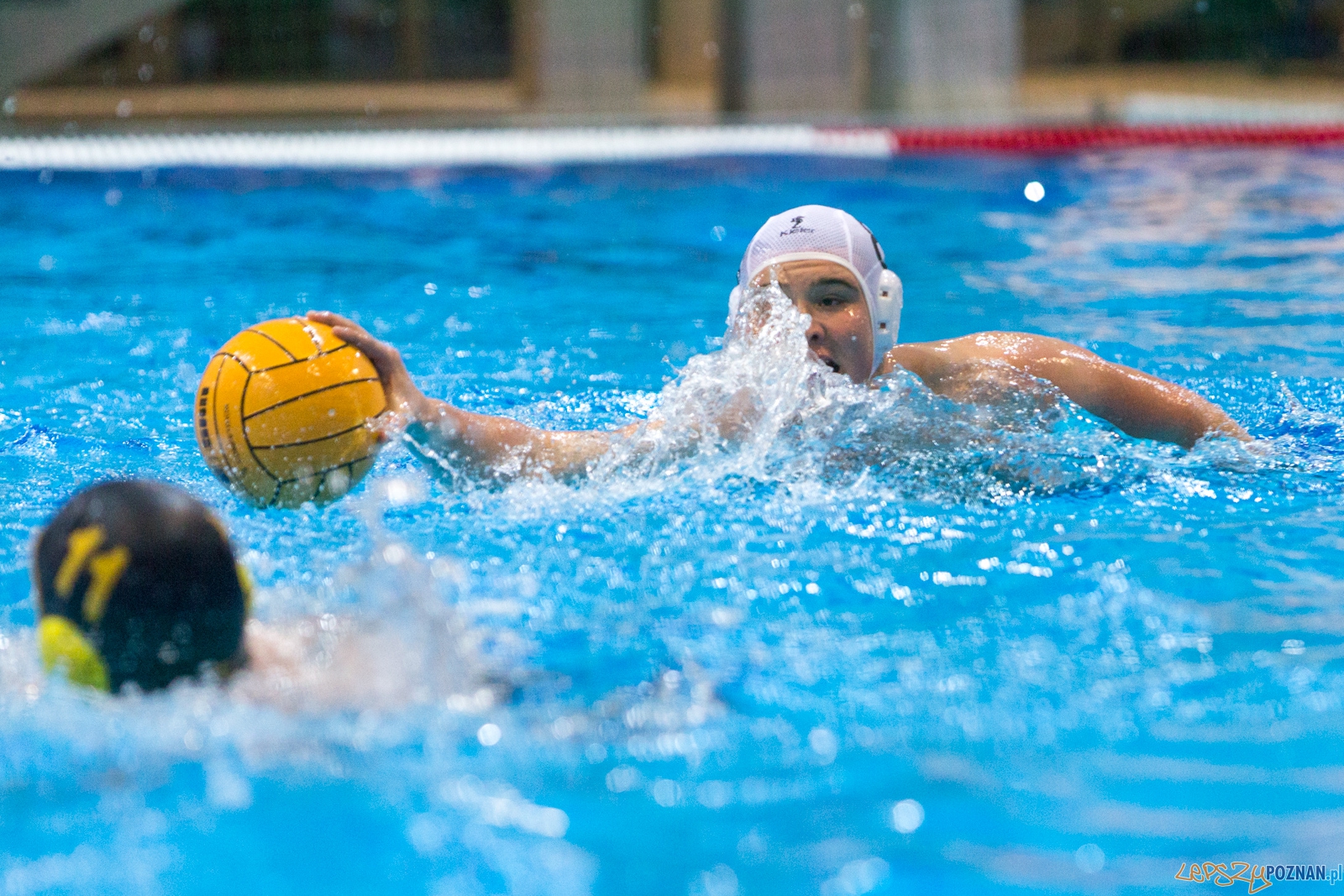 1. kolejka rozgrywek Ekstraklasy w piłce wodnej mężczyzn Foto: lepszyPOZNAN.pl / Piotr Rychter 1. kolejka rozgrywek Ekstraklasy w piłce wodnej mężczyzn Foto: lepszyPOZNAN.pl / Piotr Rychter