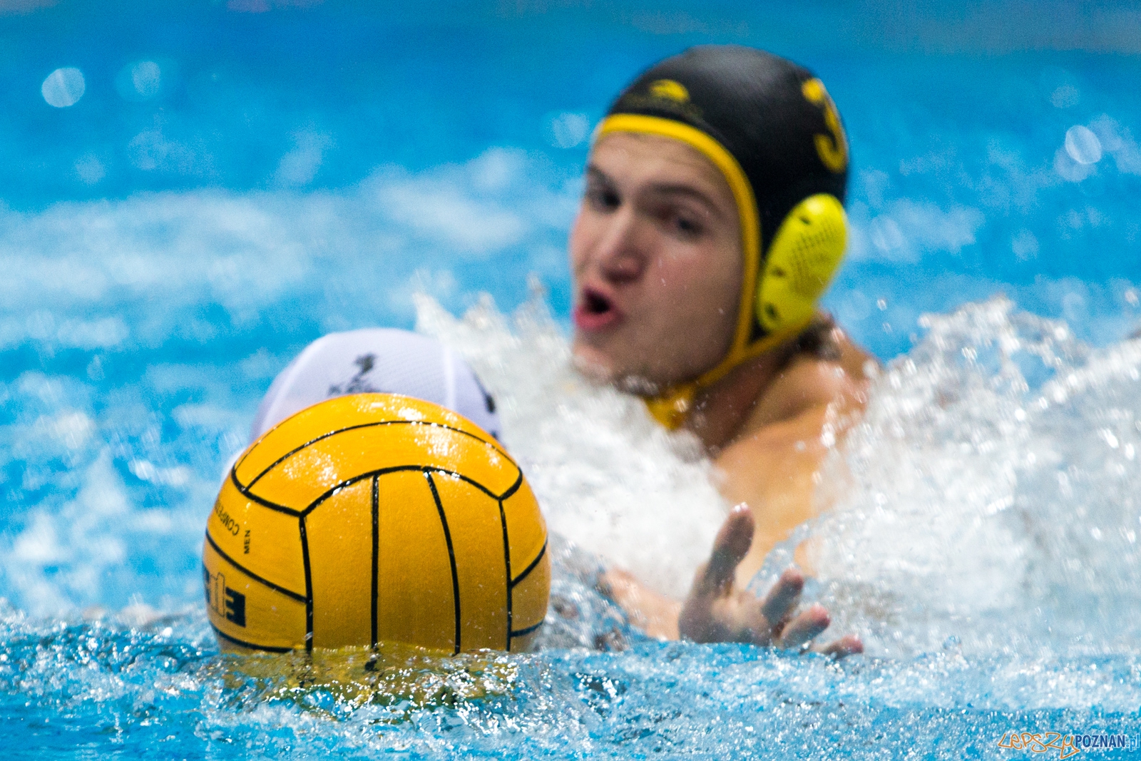1. kolejka rozgrywek Ekstraklasy w piłce wodnej mężczyzn Foto: lepszyPOZNAN.pl / Piotr Rychter 1. kolejka rozgrywek Ekstraklasy w piłce wodnej mężczyzn Foto: lepszyPOZNAN.pl / Piotr Rychter