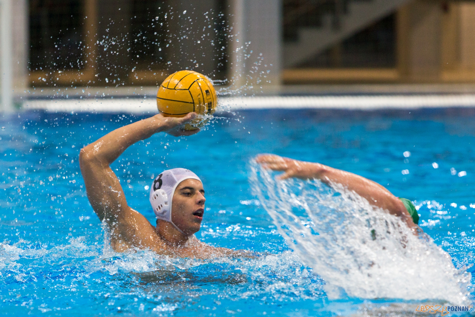Puchar Polski w piłce wodnej mężczyzn 2015 - Waterpolo Pozna Foto: lepszyPOZNAN.pl / Piotr Rychter Puchar Polski w piłce wodnej mężczyzn 2015 - Waterpolo Pozna Foto: lepszyPOZNAN.pl / Piotr Rychter