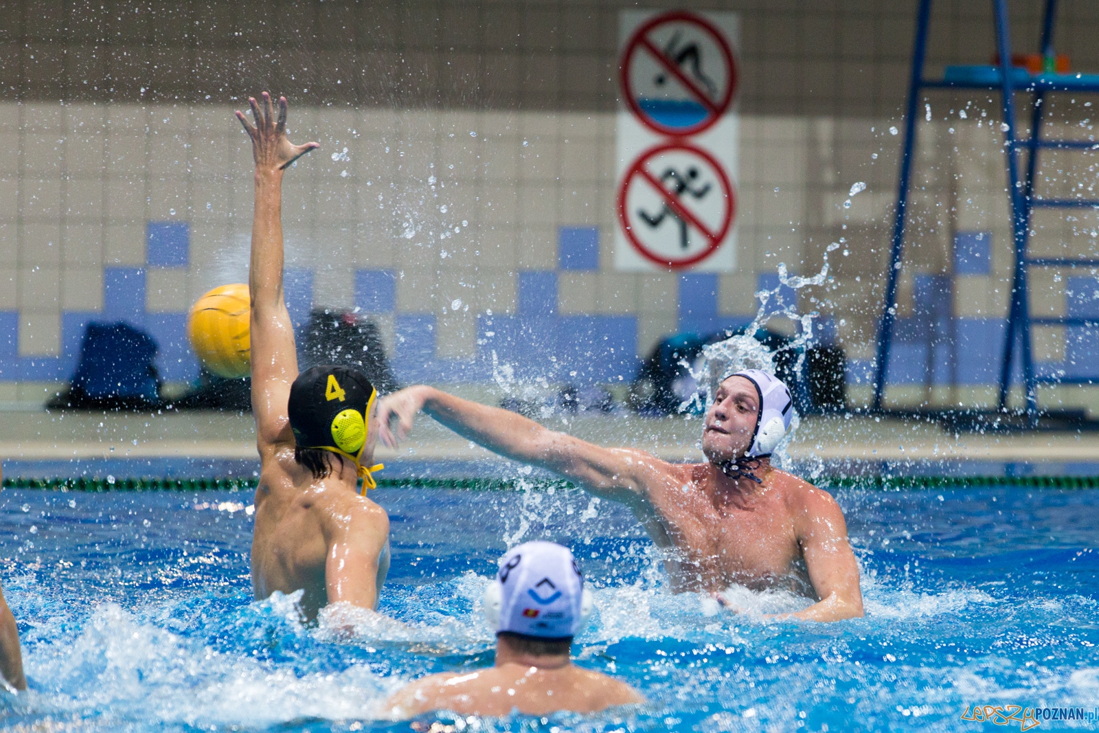 Puchar Polski w piłce wodnej mężczyzn 2015 - półfinał Ocme Foto: lepszyPOZNAN.pl / Piotr Rychter Puchar Polski w piłce wodnej mężczyzn 2015 - półfinał Ocme Foto: lepszyPOZNAN.pl / Piotr Rychter