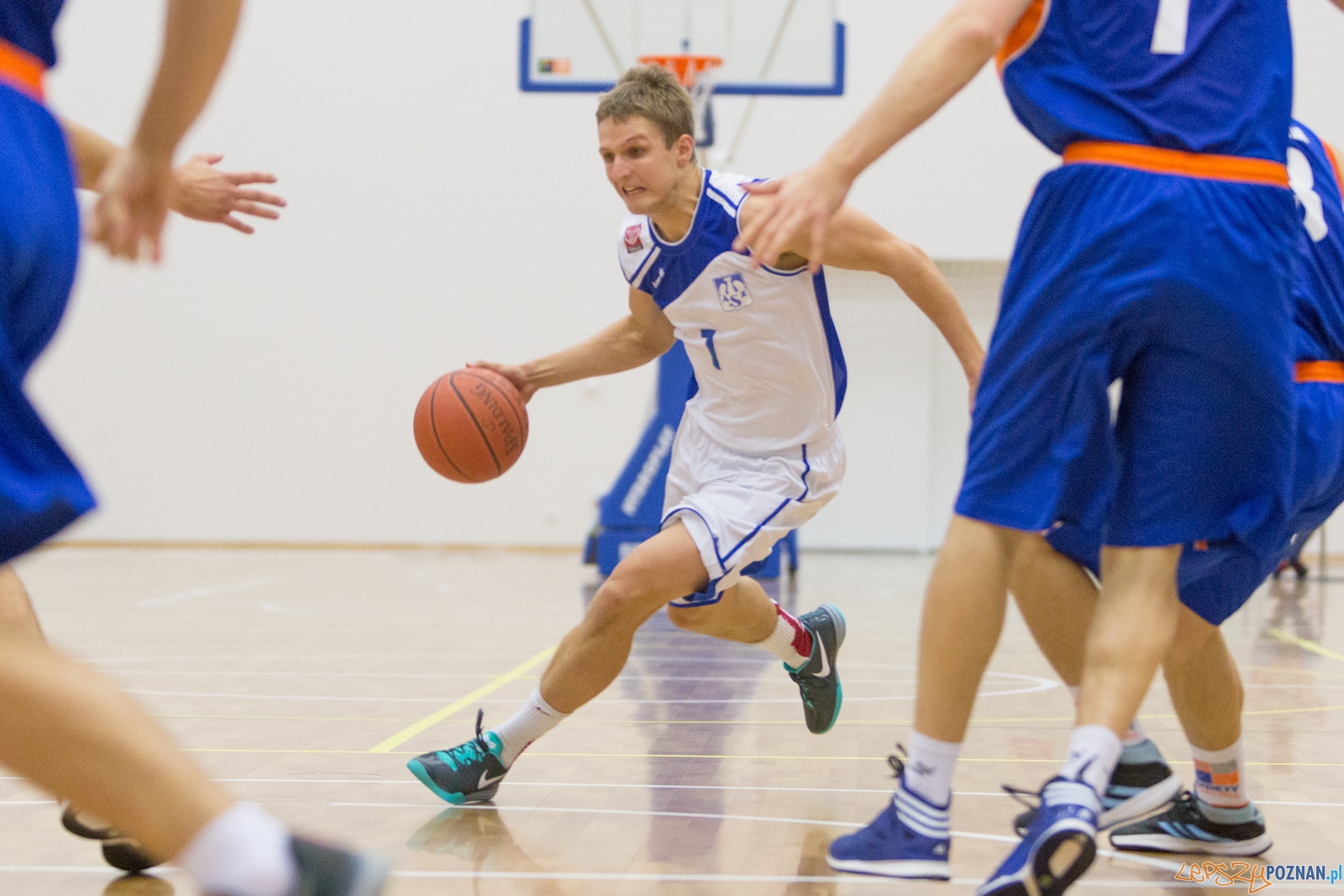 AZS Politechnika Poznań - KS Sudety Jelenia Góra Foto: lepszyPOZNAN.pl / Piotr Rychter AZS Politechnika Poznań - KS Sudety Jelenia Góra Foto: lepszyPOZNAN.pl / Piotr Rychter