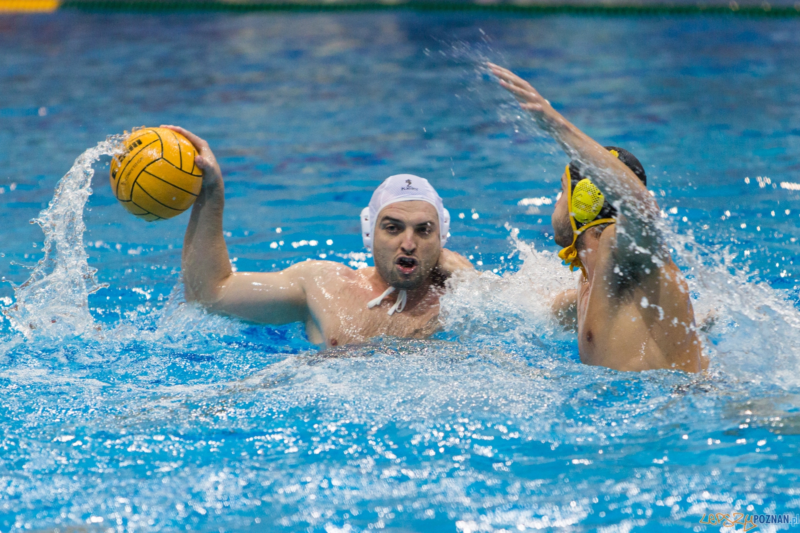 1. kolejka rozgrywek Ekstraklasy w piłce wodnej mężczyzn Foto: lepszyPOZNAN.pl / Piotr Rychter 1. kolejka rozgrywek Ekstraklasy w piłce wodnej mężczyzn Foto: lepszyPOZNAN.pl / Piotr Rychter