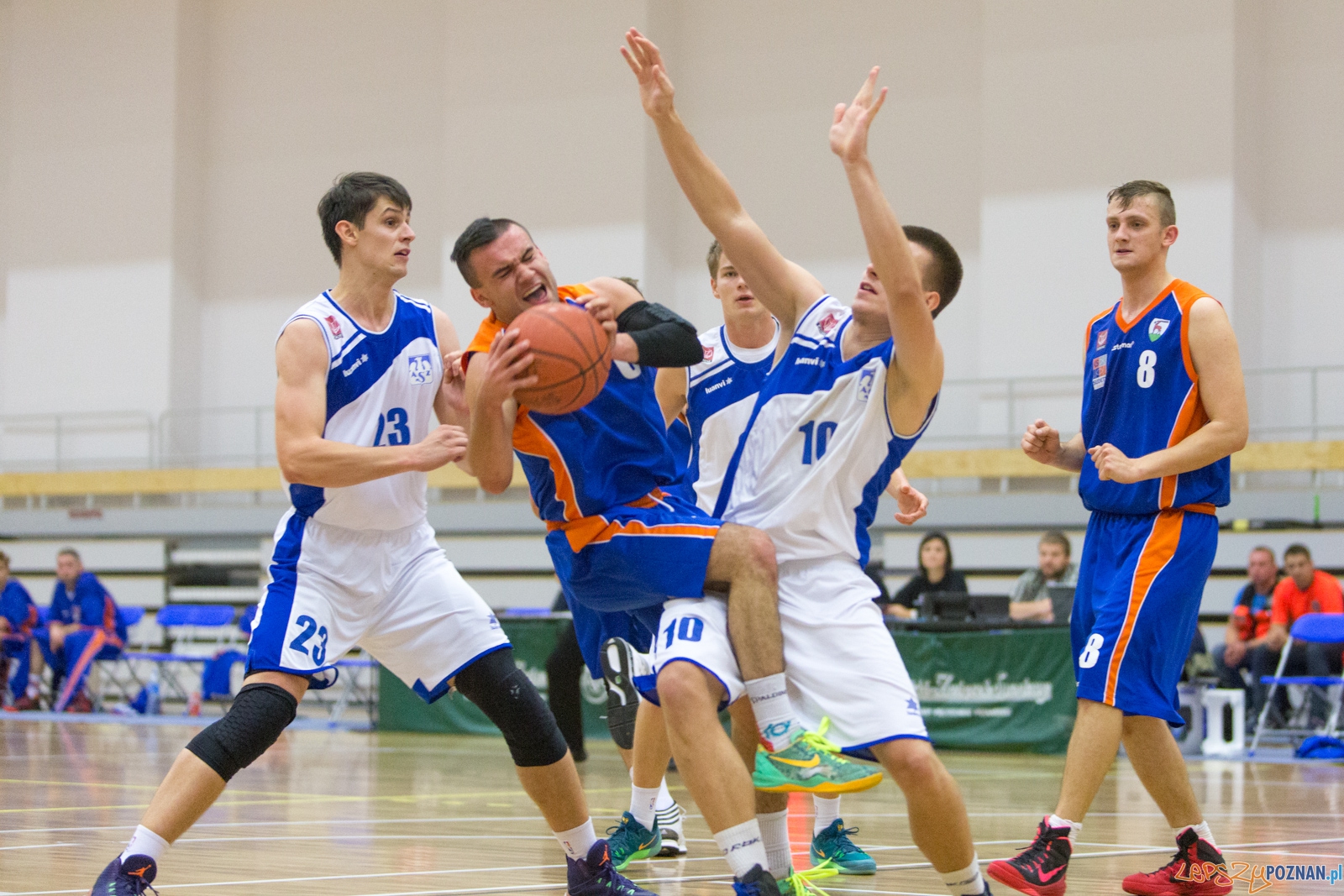 AZS Politechnika Poznań - KS Sudety Jelenia Góra Foto: lepszyPOZNAN.pl / Piotr Rychter AZS Politechnika Poznań - KS Sudety Jelenia Góra Foto: lepszyPOZNAN.pl / Piotr Rychter