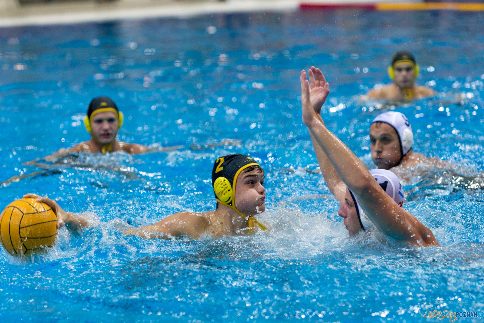 Puchar Polski w piłce wodnej mężczyzn 2015 - półfinał Ocme Foto: lepszyPOZNAN.pl / Piotr Rychter Puchar Polski w piłce wodnej mężczyzn 2015 - półfinał Ocme Foto: lepszyPOZNAN.pl / Piotr Rychter