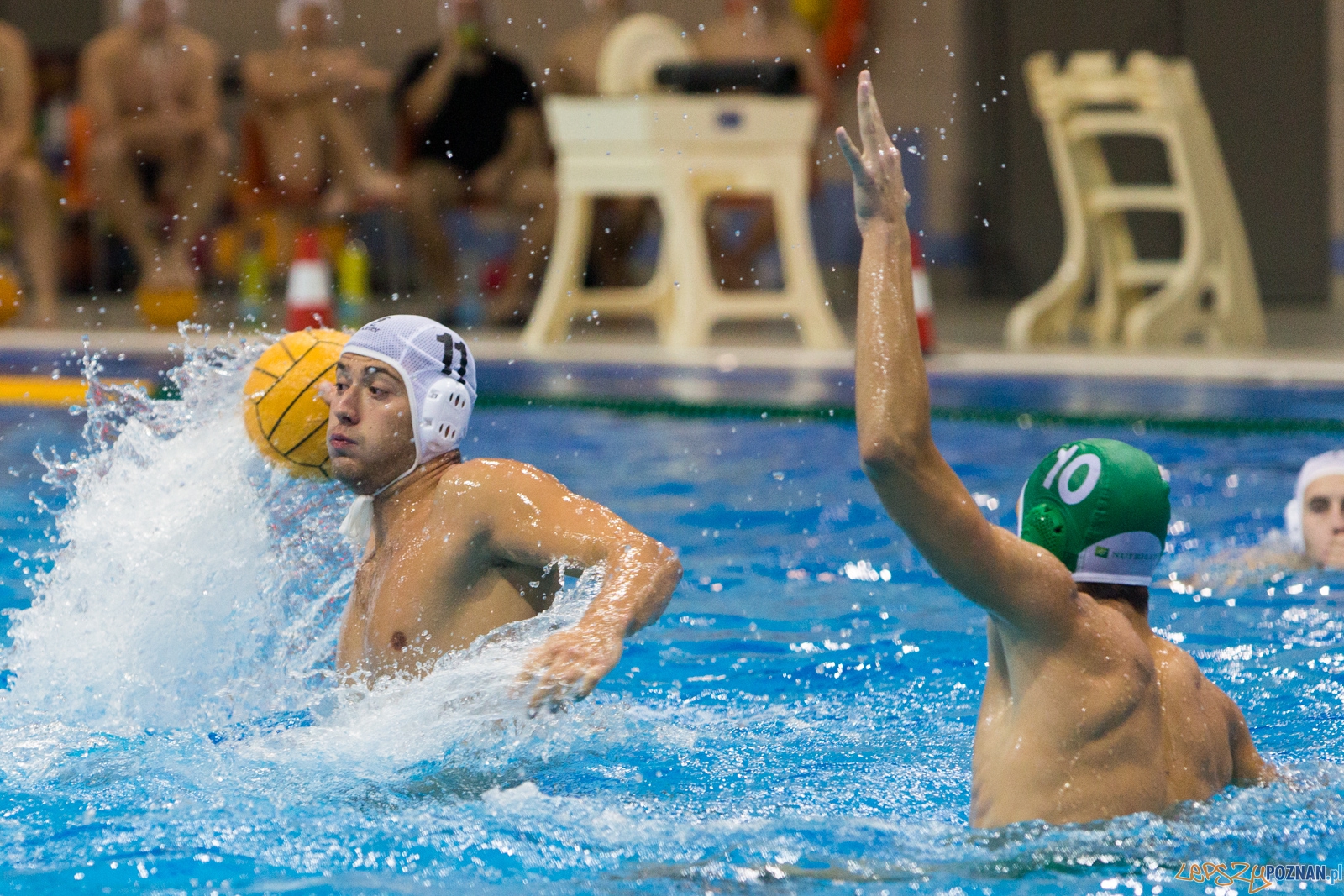 Puchar Polski w piłce wodnej mężczyzn 2015 - Waterpolo Pozna Foto: lepszyPOZNAN.pl / Piotr Rychter Puchar Polski w piłce wodnej mężczyzn 2015 - Waterpolo Pozna Foto: lepszyPOZNAN.pl / Piotr Rychter